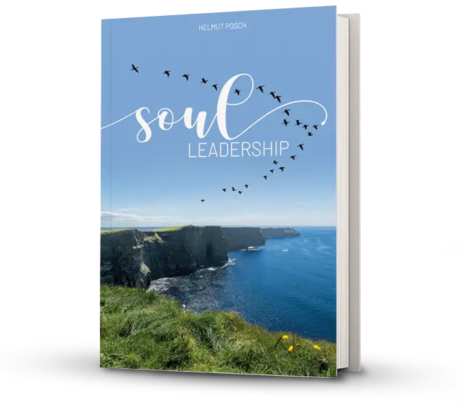 Soul Leadership Buch